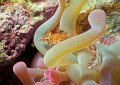 F001